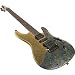 Ibanez Sv2009sc Electric Guitar F0913273
