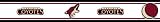 Phoenix Coyotes Licensed Wallpaper Border