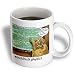 Londons Times Funny Animals Cartoons - Woodchuck Physics - Mugs