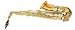 LJ Hutchen Eb Alto Saxophone with Case - 2 Year Warranty