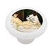Olympia by Manet Decorative High Gloss Ceramic Drawer Knob