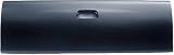01-05 TOYOTA TUNDRA TAILGATE TRUCK, Regular/Access Cab, CAPA Certified Part (2001 01 2002 02 2003 03 2004 04 2005 05) T580503Q 657000C021