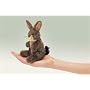 Mini Jack Rabbit