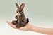 Jack Rabbit Finger Puppet
