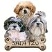 Shih Tzu Puppies Adult T-Shirt