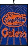 Florida Gators Set of 2 Golf Towels