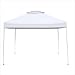 Quik Shade® Commercial 100 Instant Canopy, WHITE