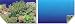 15"H FRSHATER & BLUE DBL BACKGROUND 50FT