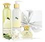 Terra Nova Gardenia Gift Box