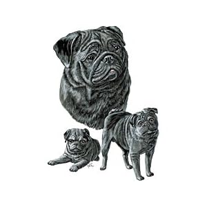 Black Pug Adult Long Sleeve T-Shirt