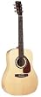 Norman Encore B20 High Gloss Guitar