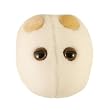Giant Microbes - Beer & Bread (Saccharomyces cerevisiae) Educational Plush Toy