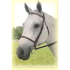 Kincade Plain Raised Bridle w/Reins Sable