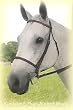 Kincade Plain Raised Bridle w/Reins Sable