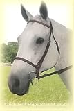 Kincade Plain Raised Bridle w/Reins Sable