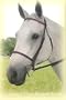Kincade Plain Raised Bridle w/Reins Sable
