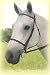 Kincade Plain Raised Bridle w/Reins Sable