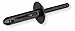 BMW Blind Rivet