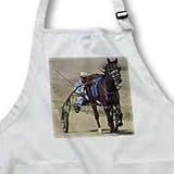 Cassie Peters Photography - Harness Racing - Aprons