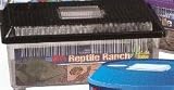 Pet Supplies : LEE'S AQUARIUM & PET PRODUCTS HOME FOR REPTILES RANCH SMALL 9 X 15 inch