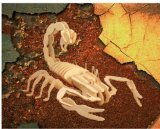 Scorpion 3D Woodcraft Construction Kit