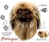 Pekingese Adult Sweatshirt