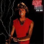 After Dark by Andy Gibb