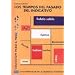 Los tiempos del pasado del indicativo. Autoaprendizaje de la Grammatica Espanola. (Lernmaterialien)