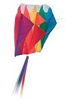 Go Fly A Kite Rainbow Parafoil 5.0 Kite