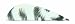 Allen Company Pro Series Camo Print Vanes
