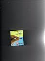Box of 100 GlucoPro Lancets