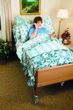 1 EACH OF Bariatric Full-Electric Bed - Bed Only