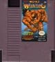 Tecmo World Wrestling Nintendo NES