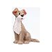 Disney Tramp from Lady & The Tramp