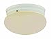 Trans Globe Lighting 3618 WH Indoor Dash 8" Flushmount, White