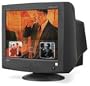 NEC MultiSync FE992 19-inch CRT Monitor Black