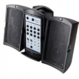 Fender Passport