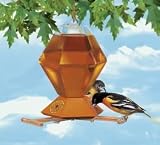 Perky Pet #251 36OZ Oriole Feeder