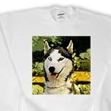 Dogs Saint Bernard - Saint Bernard - Coasters