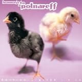 A Tributepar Michel Polnareff