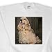 Dogs Cocker Spaniel - Cocker Spaniel - Coasters