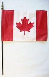 Canada - 8" x 12" World Stick Flag