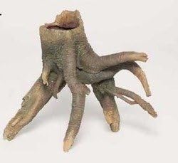 Ocean Star International A90204 Smooth Bark Tree Stump for Bird Cages, Medium