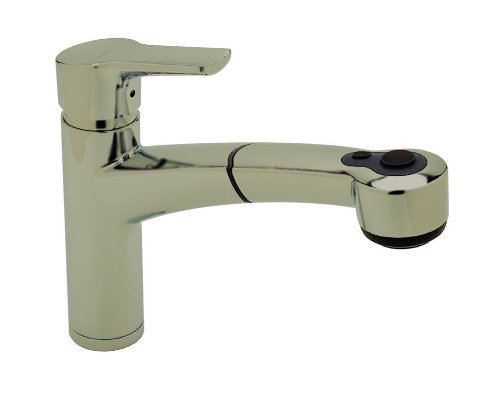 Blanco 440655 BlancoMerkur Plus Kitchen Pull Out Spray Faucet
