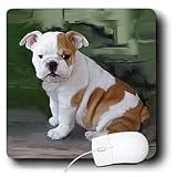 Dogs Bulldog - British Bulldog Puppy - Mouse Pads