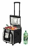 Travel Bag Cooler and Warmer 32 Liter
