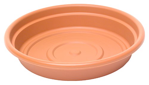Duraco #SDC14-94404 13-5/8 TC Saucer