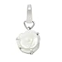 Fossil Damen-Charm Anh�nger Rose Perlmutt JF867200&hellip von Fossil