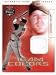 2003 Fleer Focus JE Team Colors Game Jersey #AD Adam Dunn - Cincinnati Reds (Piece of Authentic Game-Worn Jersey)(Baseball Cards)
