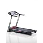 ProForm 490 C Treadmill ProForm 490 C Treadmill